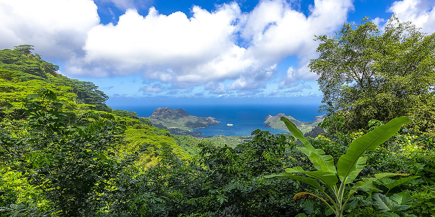 Polynesian Bliss: Marquesas, Tuamotu and Society Islands Polynesian Bliss: Marquesas, Tuamotu and Society Islands