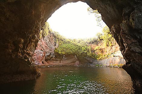17 Jan 26 - Musgrave Inlet, Auckland Islands
