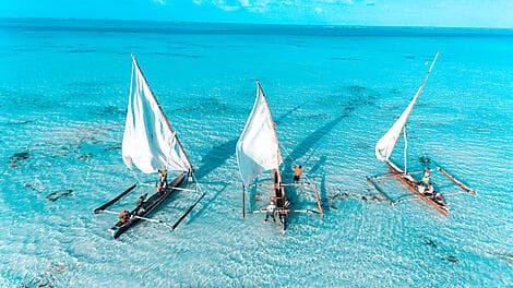 14 Feb 26 - Zanzibar