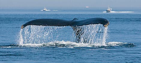 6 Oct 26 - Tadoussac