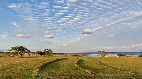 8 Mar 26 - Kikaijima