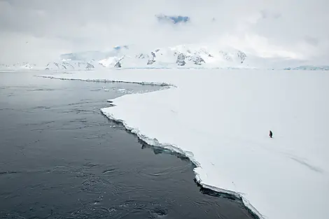 6 Jan 26 - The Gullet