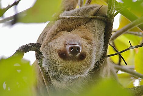 15 Mar 26 > 16 Mar 26 - Puntarenas