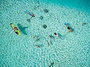Sharks & stingrays encounter