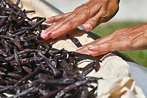 Exploration of Taha'a