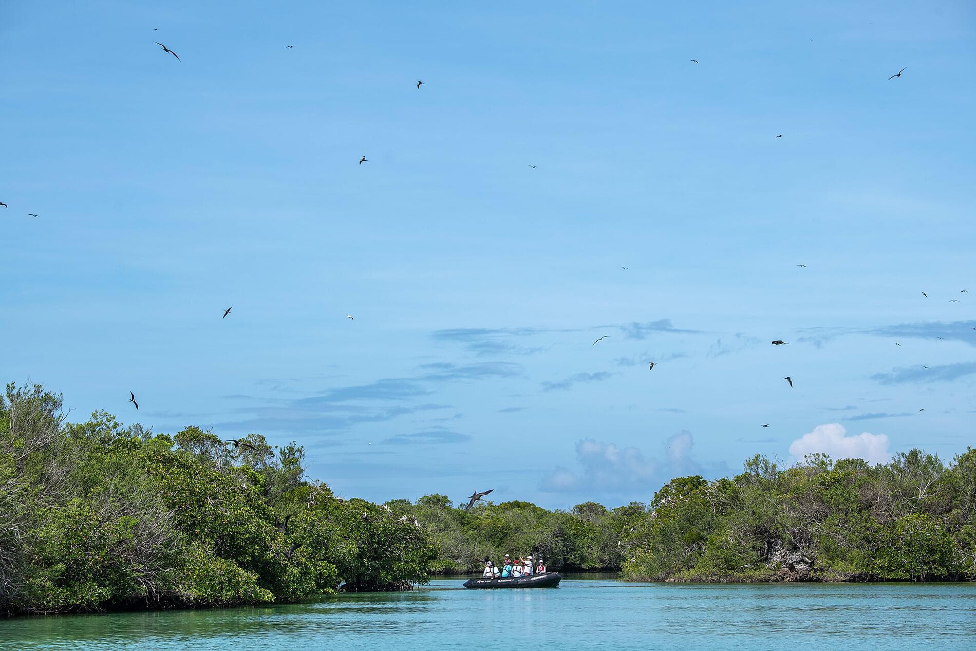 Zanzibar, Aldabra & the treasures of the Indian Ocean 