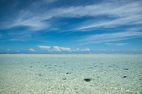 4 Feb 27 - Saint François Atoll
