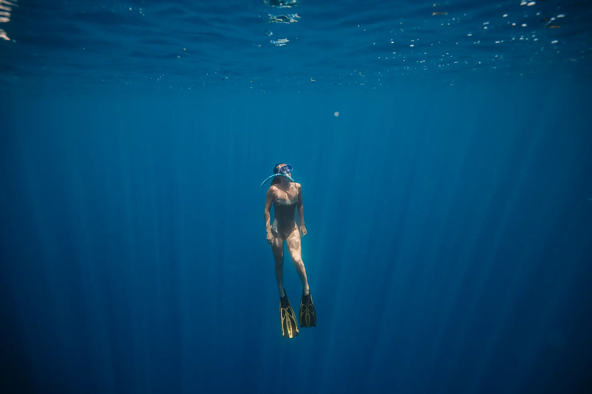 Madagascar and Seychelles: Natural Treasures of the Indian Ocean – with Smithsonian Journeys 