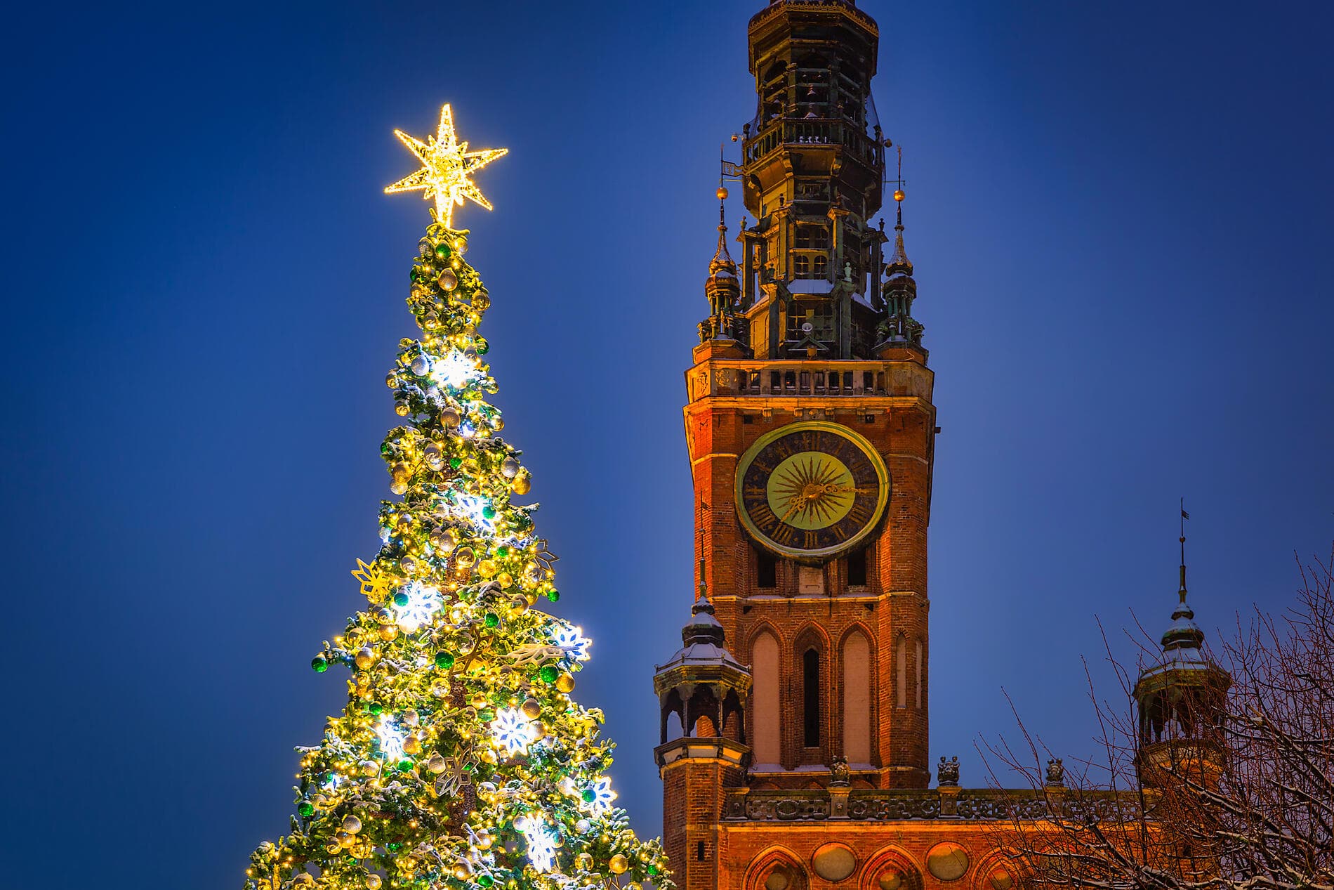 Gautier Capuçon's Baltic Symphony at Sea 