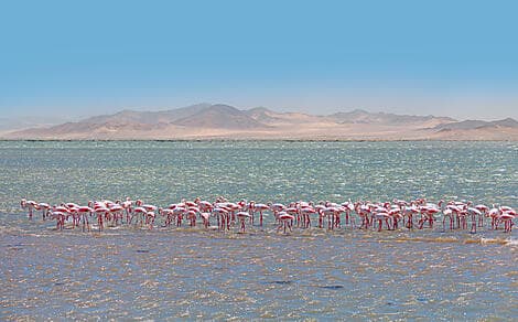 29 Mar 26 - Walvis Bay