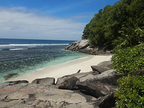 1 Oct 26 - Middle Island