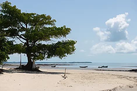 13 Jan 26 - Joao Vieira Island, Bijagos