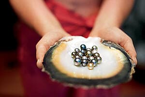 Snorkel & Black pearl farm adventure