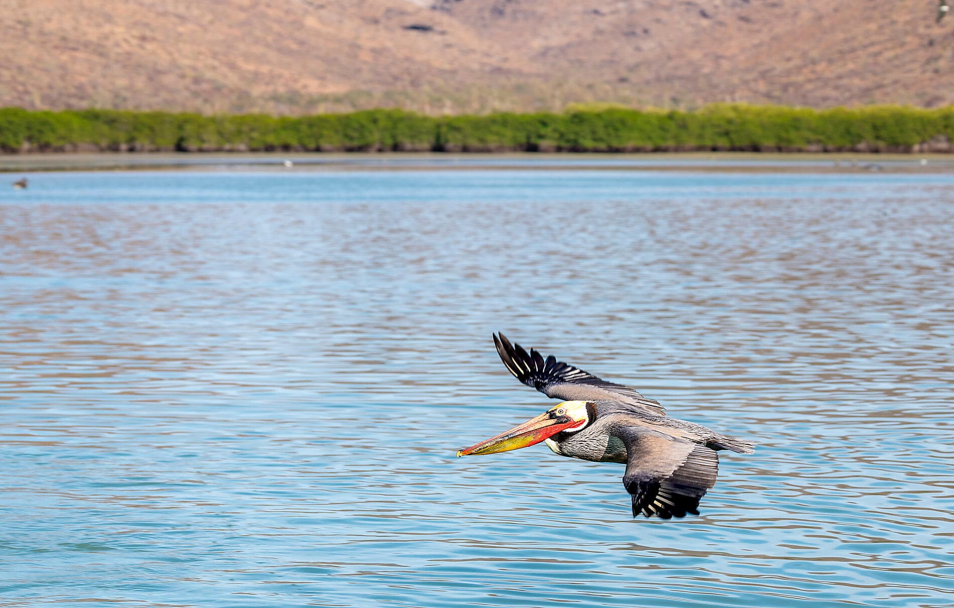 Exploration in the Heart of Baja California 