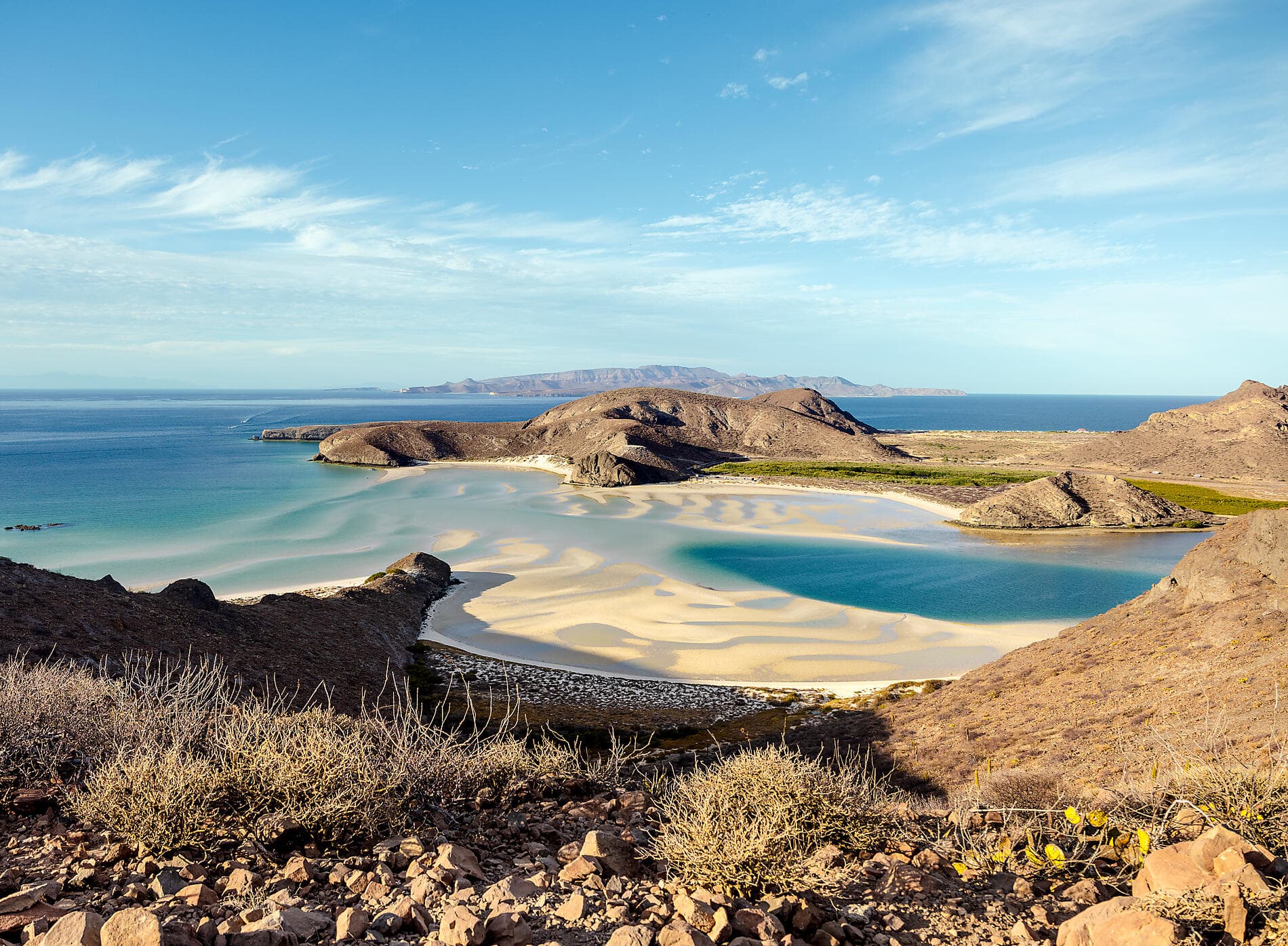 Baja and the Sea of Cortez: In Search of the Great Whales – with Smithsonian Journeys 