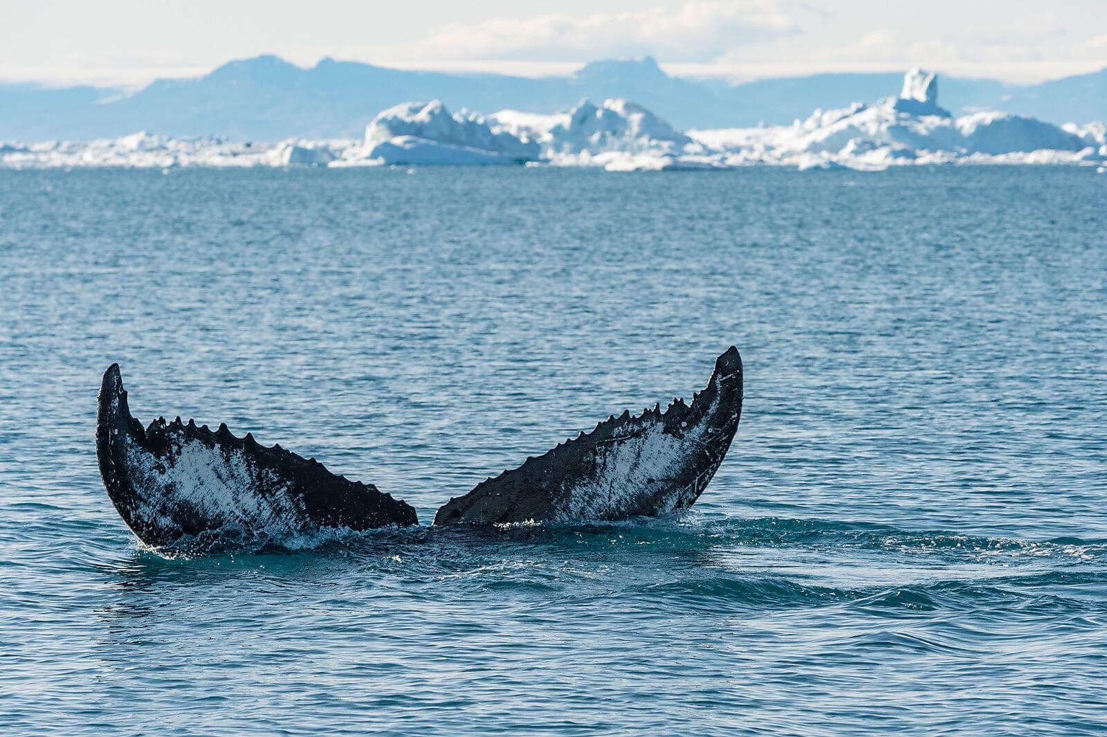 In the heart of the Northwest Passage 