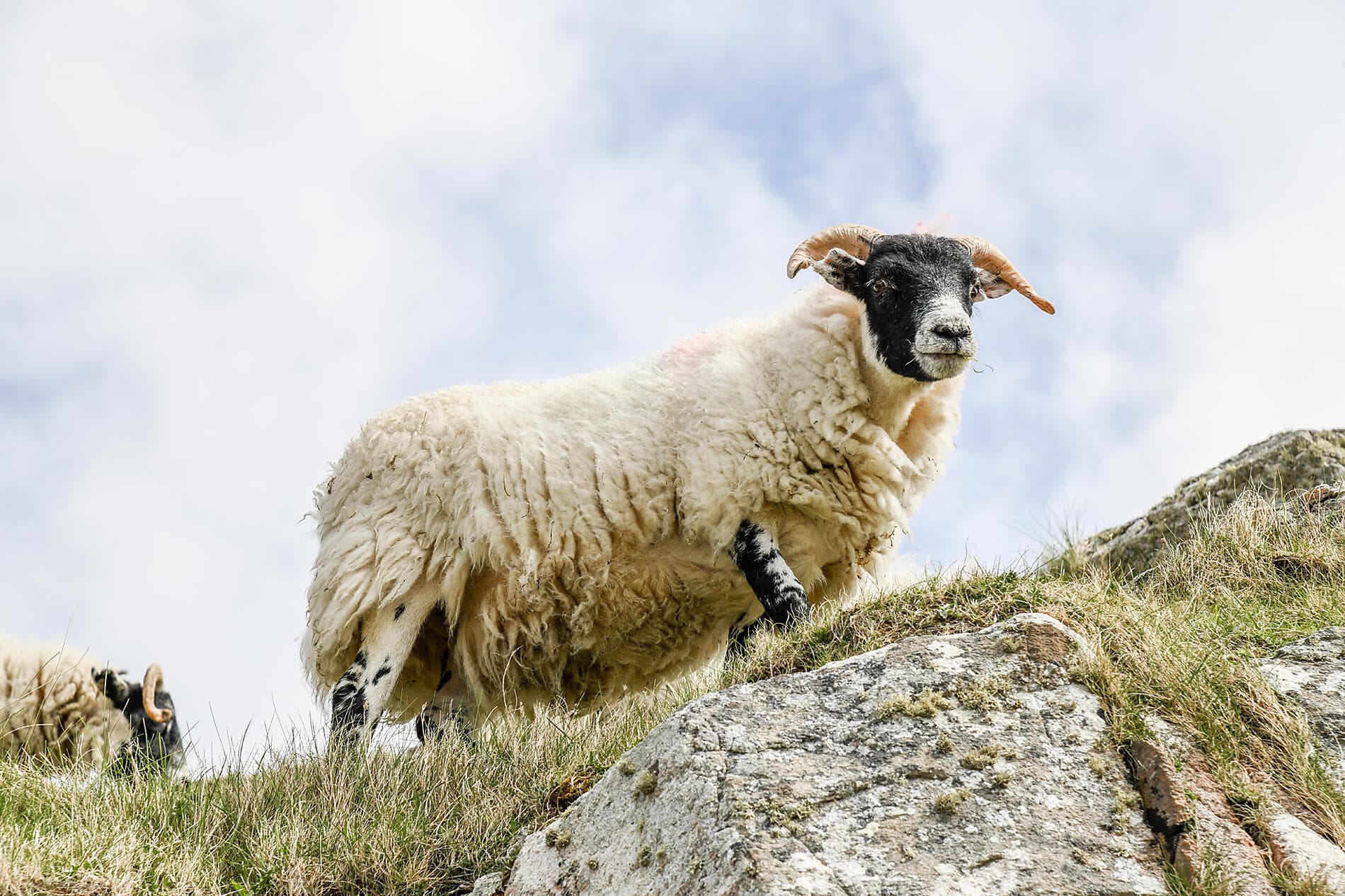 Legendary Lands and Northern Cities 