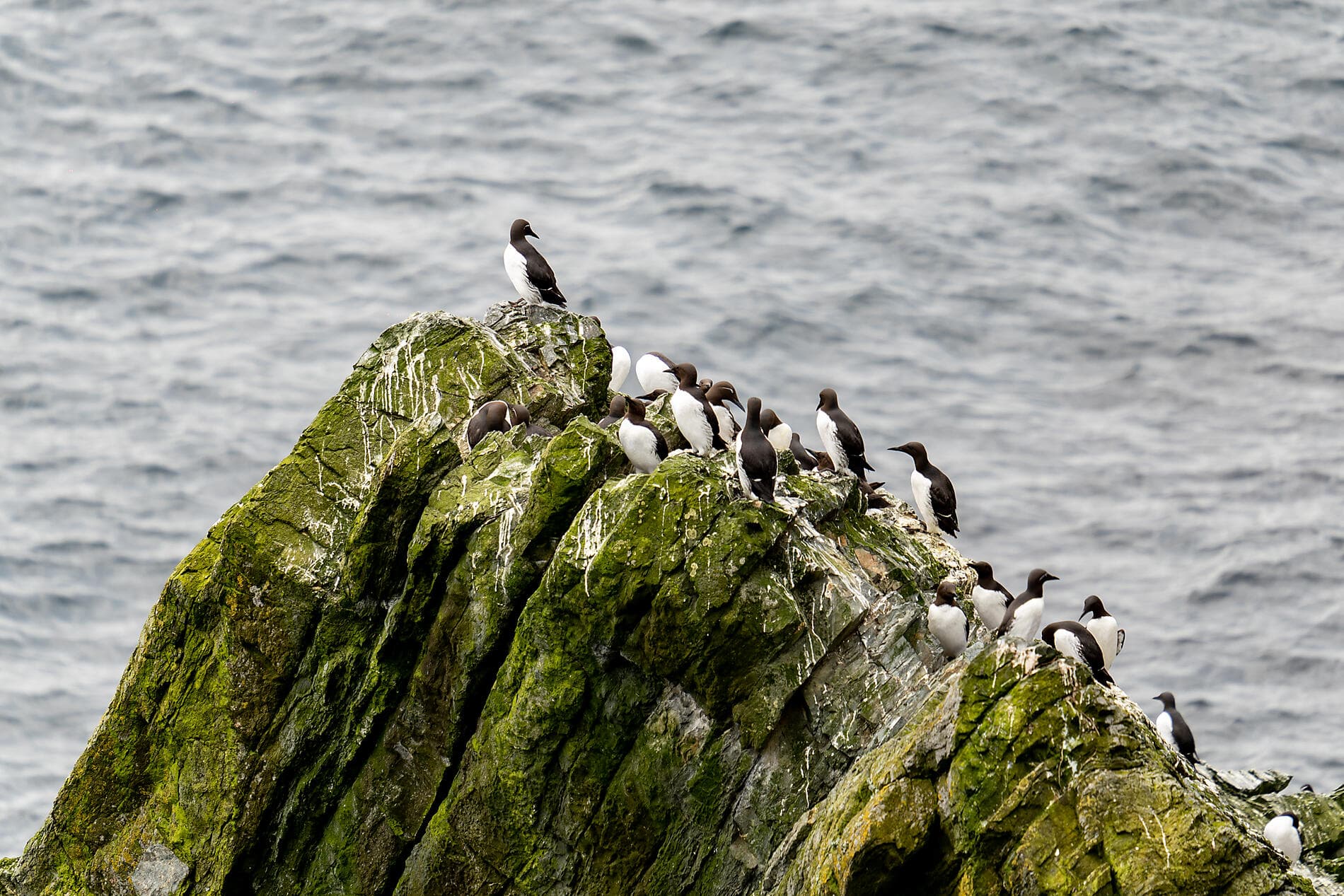 Legendary Lands and Northern Cities 