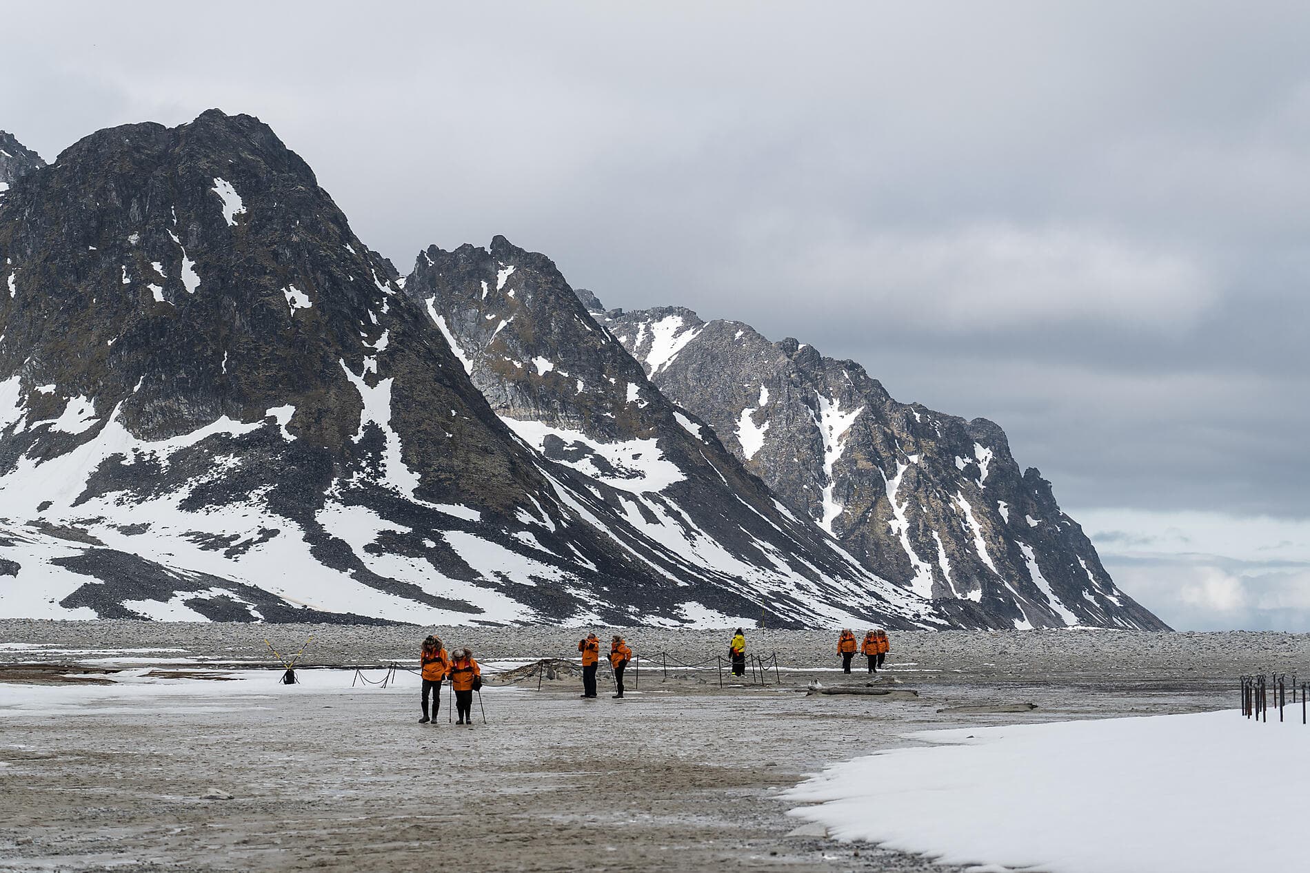 In the ice of the Arctic, from Greenland to Svalbard 