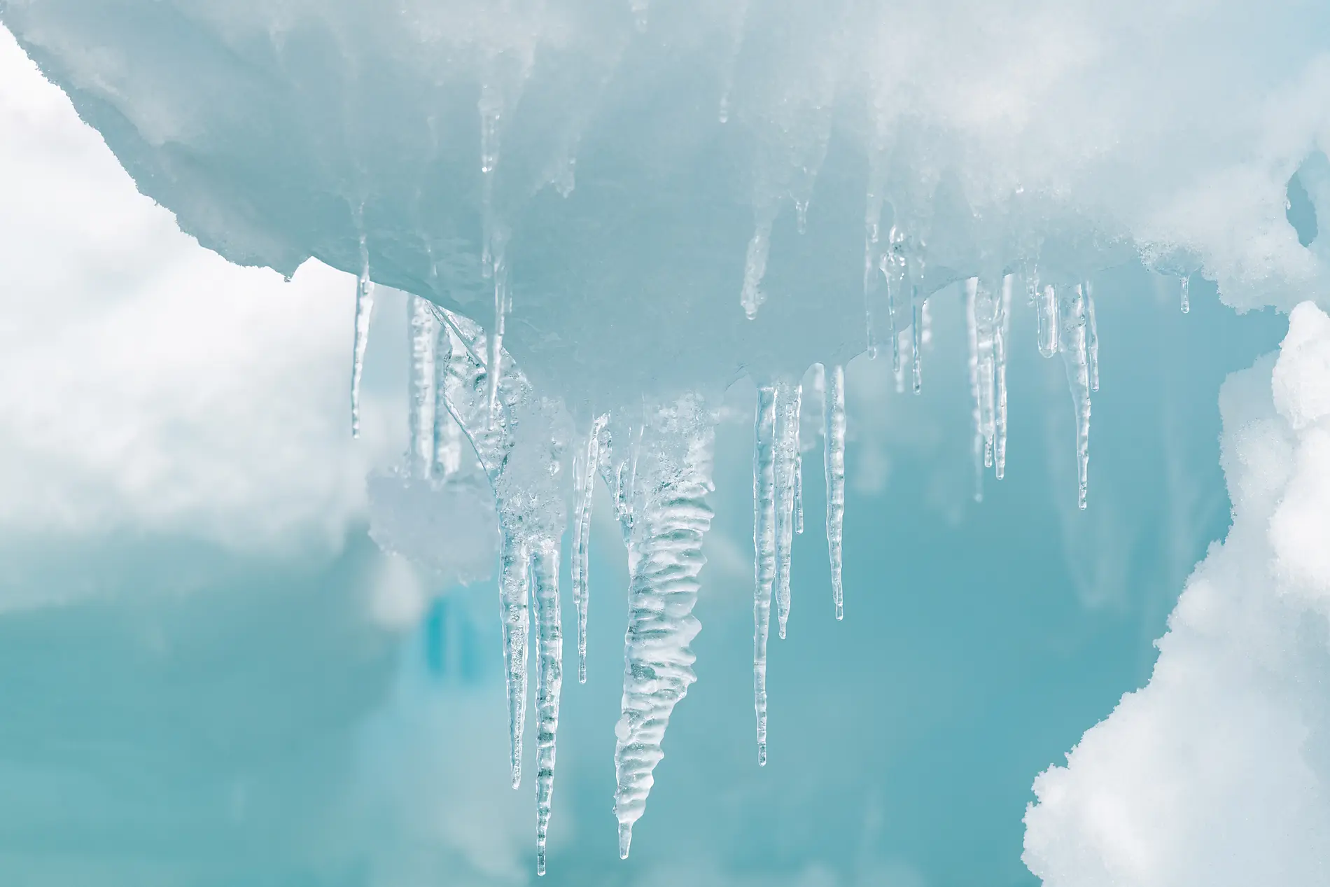 Disko Bay: Meeting the Inuit & Discovering the Unknown 