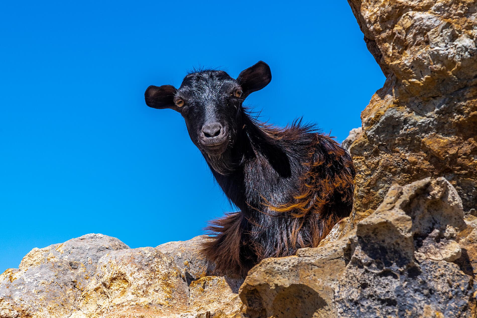 Island Hopping Aboard Le Ponant, From Athens to Dubrovnik 