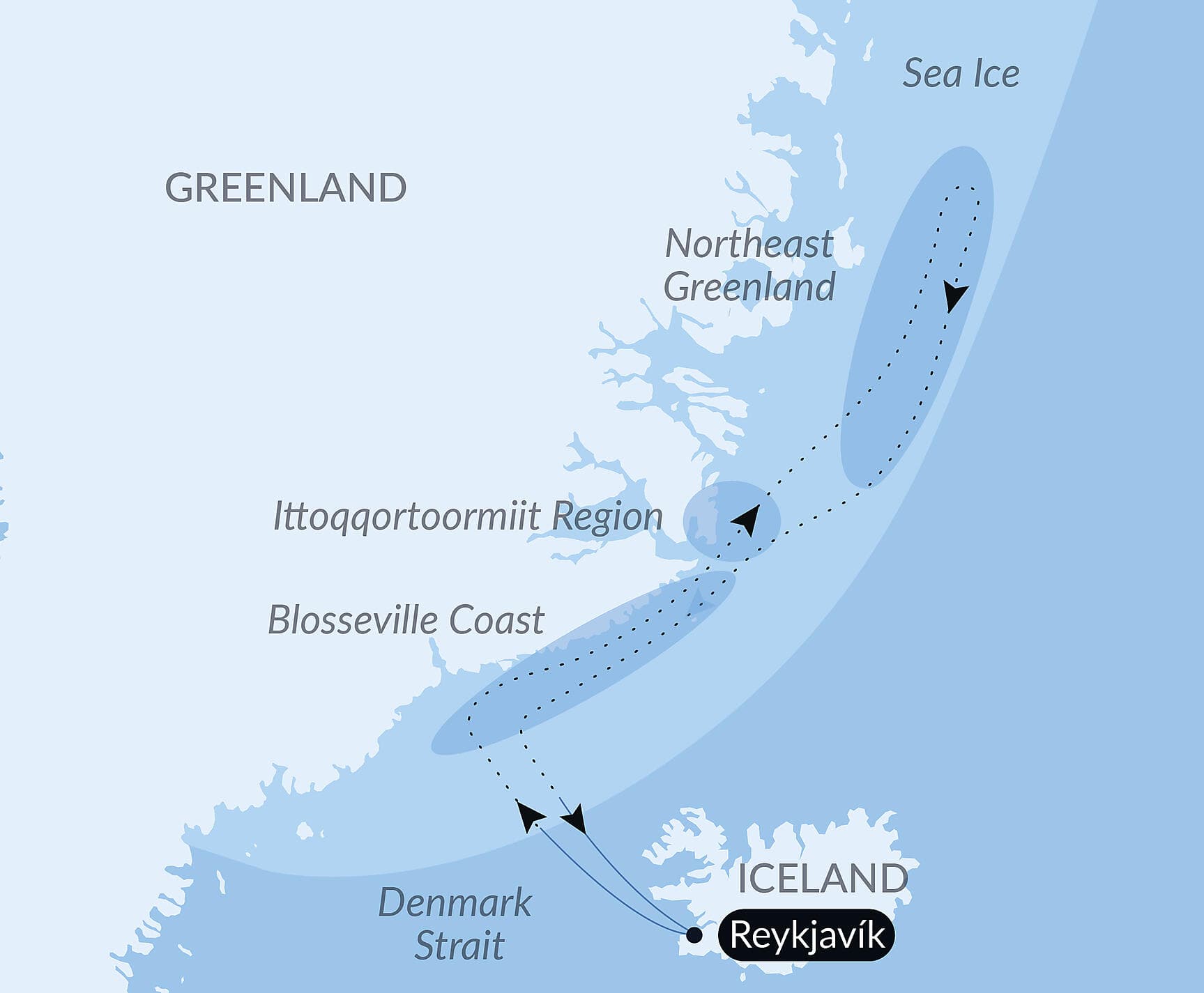 Northeast Greenland's unexplored sea ice