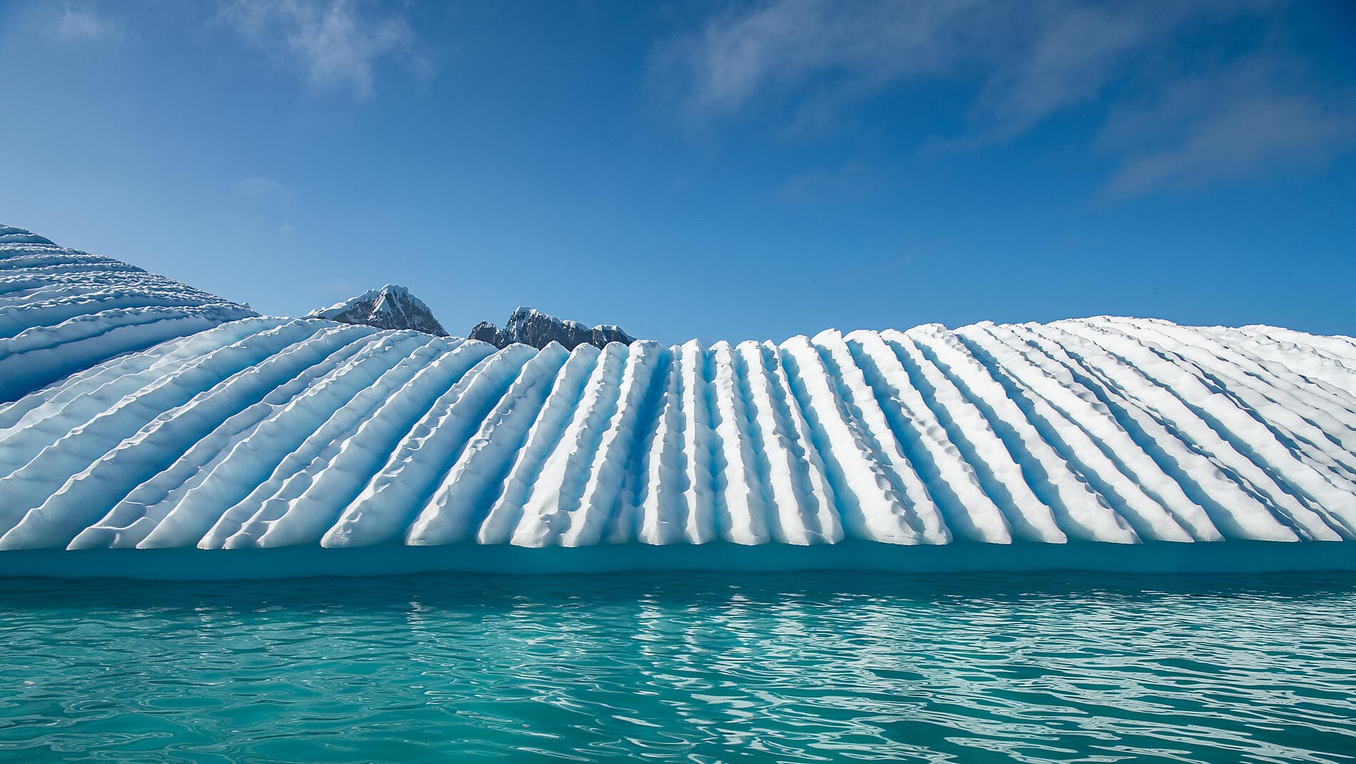 Emblematic Antarctica 
