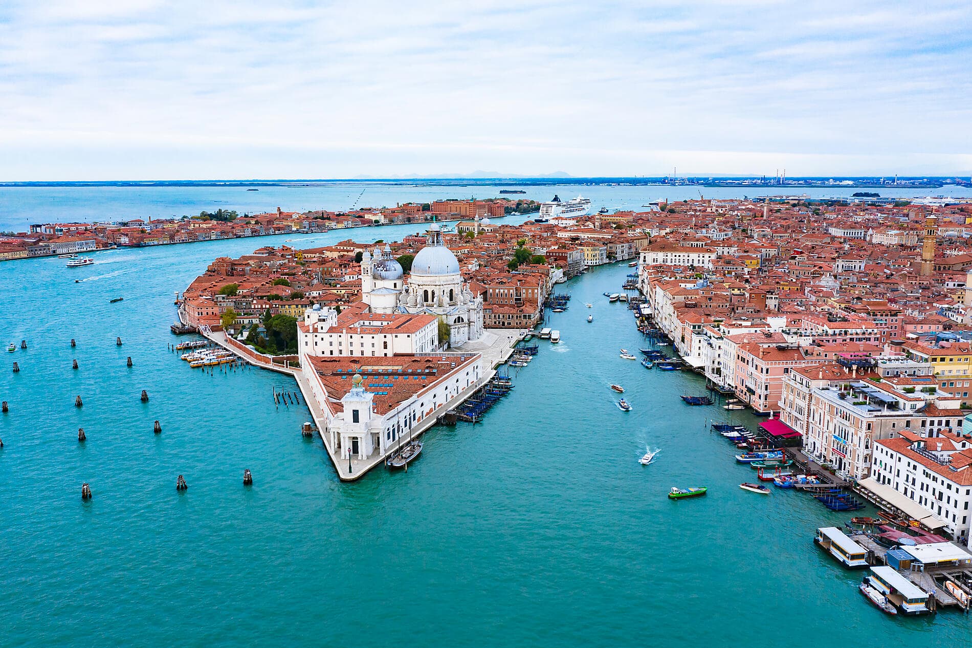 A Celebration of Art Featuring the 61st Venice Biennale 