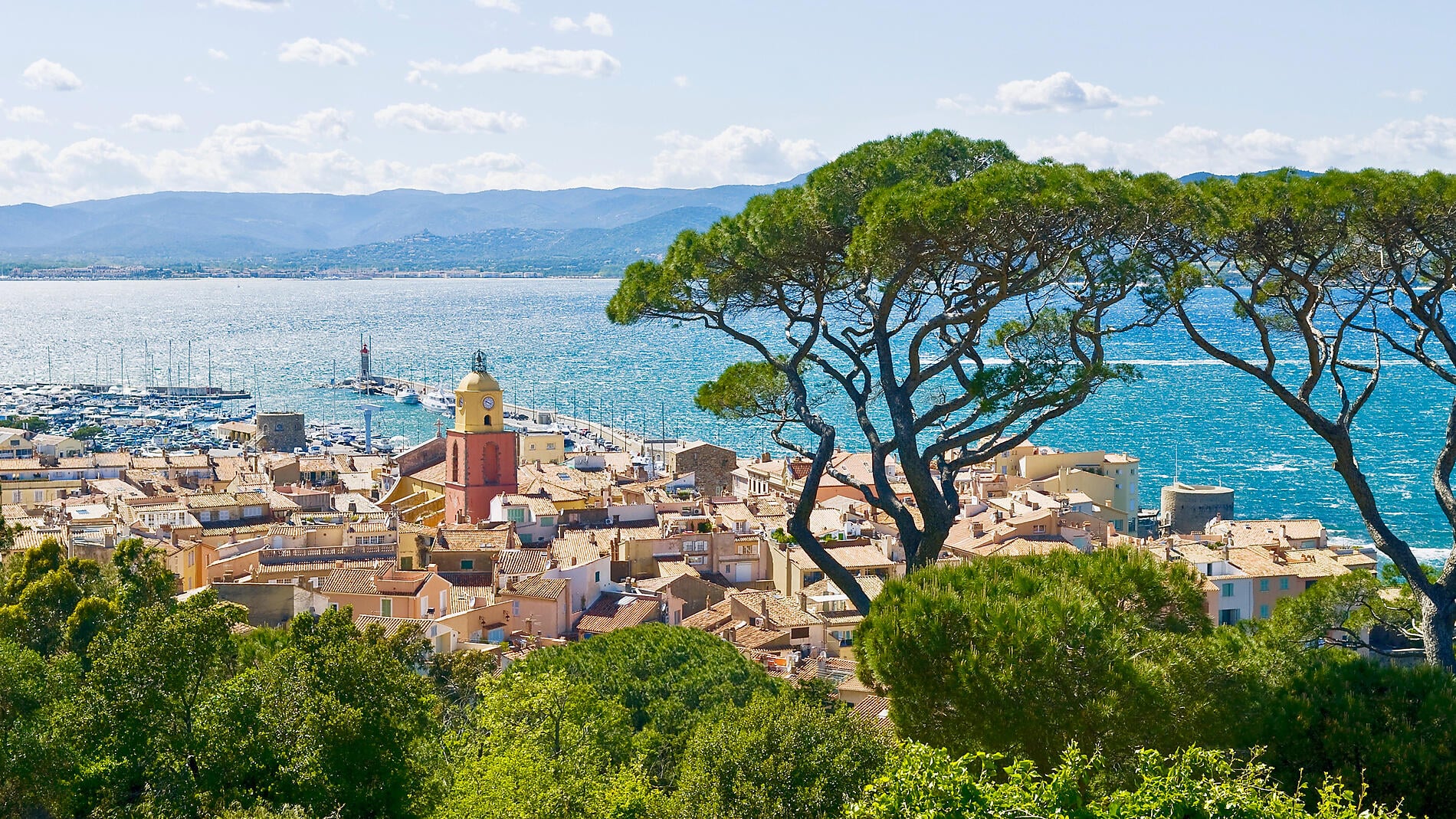 From Riviera Glamour to Corsican Charm