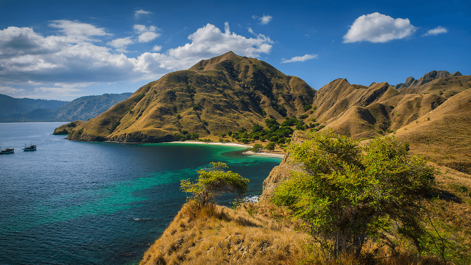 Tropical Indonesian Odyssey
