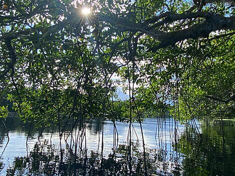 27 Dec 25 - La Ensenada