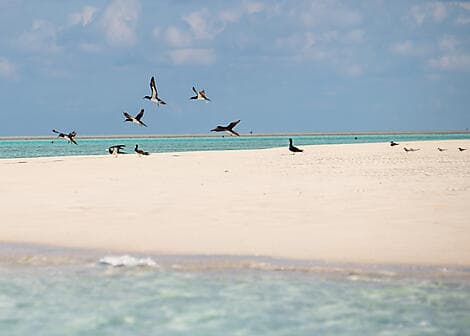 22 July 26 - Ashmore Reef (technical stop)
